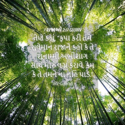 Picture 04 - 1 રાજાઓ 2:17 GUJIRV - તેણે કહ્યું, “કૃપા - Bible Verse Picture