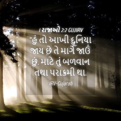 Picture 04 - 1 રાજાઓ 2:2 GUJIRV - “હું તો આખી દુનિયા - Bible Verse Picture