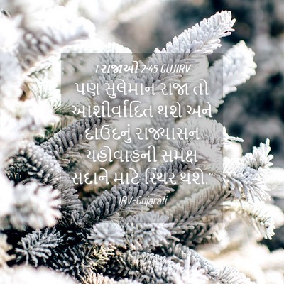 Picture 04 - 1 રાજાઓ 2:45 GUJIRV - પણ સુલેમાન રાજા તો - Bible Verse Picture