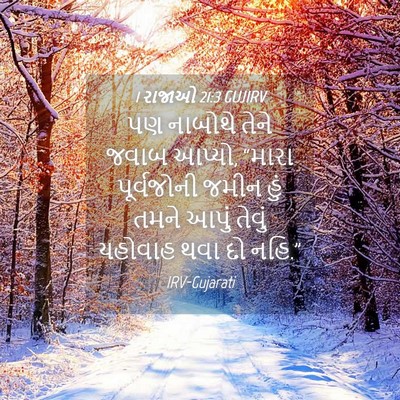 Picture 04 - 1 રાજાઓ 21:3 GUJIRV - પણ નાબોથે તેને - Bible Verse Picture