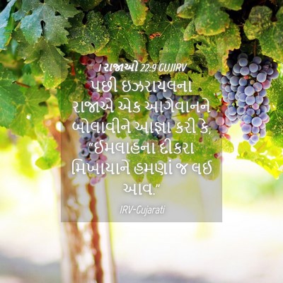 Picture 04 - 1 રાજાઓ 22:9 GUJIRV - પછી ઇઝરાયલના - Bible Verse Picture
