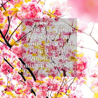 Picture 04 - 1 રાજાઓ 3:13 GUJIRV - વળી તેં જે માગ્યું - Bible Verse Picture