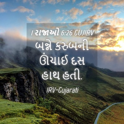 Picture 04 - 1 રાજાઓ 6:26 GUJIRV - બન્ને કરુબની - Bible Verse Picture