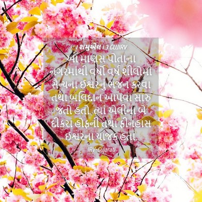 Picture 04 - 1 શમુએલ 1:3 GUJIRV - આ માણસ પોતાના - Bible Verse Picture