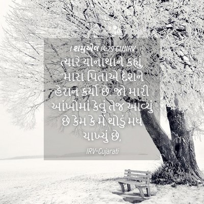 Picture 04 - 1 શમુએલ 14:29 GUJIRV - ત્યારે યોનાથાને - Bible Verse Picture