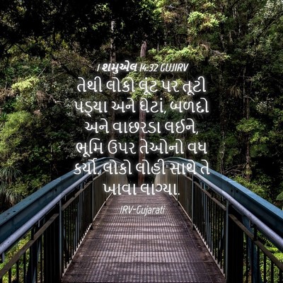 Picture 04 - 1 શમુએલ 14:32 GUJIRV - તેથી લોકો લૂંટ પર - Bible Verse Picture
