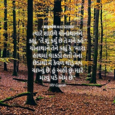 Picture 04 - 1 શમુએલ 14:43 GUJIRV - ત્યારે શાઉલે - Bible Verse Picture