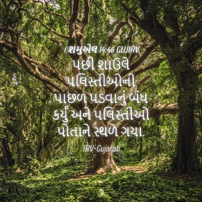 Picture 04 - 1 શમુએલ 14:46 GUJIRV - પછી શાઉલે - Bible Verse Picture