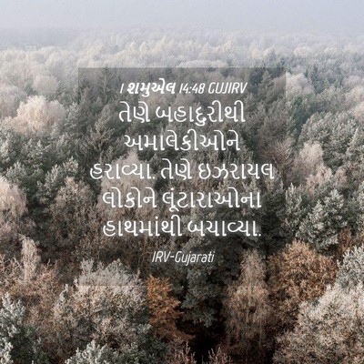 Picture 04 - 1 શમુએલ 14:48 GUJIRV - તેણે બહાદુરીથી - Bible Verse Picture