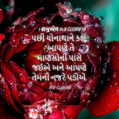 Picture 04 - 1 શમુએલ 14:8 GUJIRV - પછી યોનાથાને - Bible Verse Picture