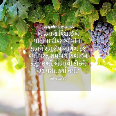 Picture 04 - 1 શમુએલ 16:10 GUJIRV - એ પ્રમાણે યિશાઈએ - Bible Verse Picture
