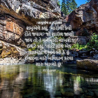 Picture 04 - 1 શમુએલ 16:2 GUJIRV - શમુએલે કહ્યું, - Bible Verse Picture