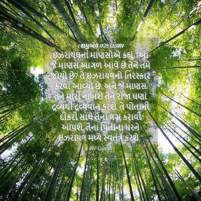 Picture 04 - 1 શમુએલ 17:25 GUJIRV - ઇઝરાયલના માણસોએ - Bible Verse Picture