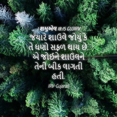 Picture 04 - 1 શમુએલ 18:15 GUJIRV - જયારે શાઉલે જોયું - Bible Verse Picture