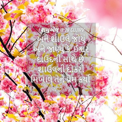 Picture 04 - 1 શમુએલ 18:28 GUJIRV - અને શાઉલે જોયું - Bible Verse Picture