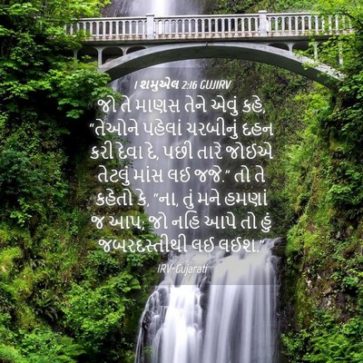 Picture 04 - 1 શમુએલ 2:16 GUJIRV - જો તે માણસ તેને - Bible Verse Picture