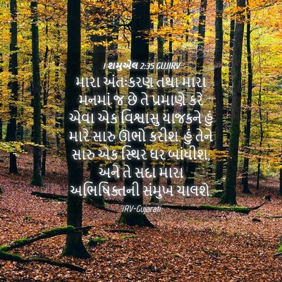 Picture 04 - 1 શમુએલ 2:35 GUJIRV - મારા અંતઃકરણ તથા - Bible Verse Picture