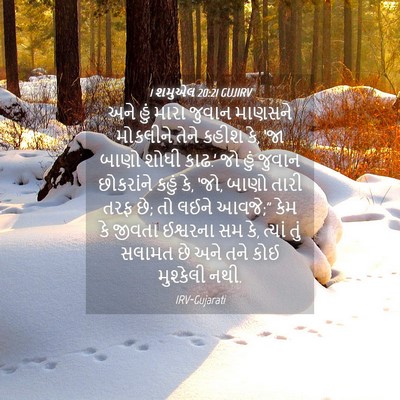 Picture 04 - 1 શમુએલ 20:21 GUJIRV - અને હું મારા જુવાન - Bible Verse Picture