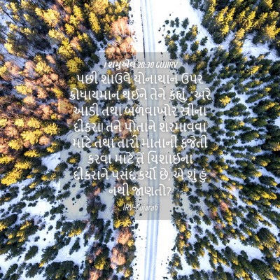 Picture 04 - 1 શમુએલ 20:30 GUJIRV - પછી શાઉલે યોનાથાન - Bible Verse Picture