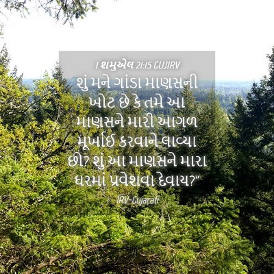 Picture 04 - 1 શમુએલ 21:15 GUJIRV - શું મને ગાંડા - Bible Verse Picture