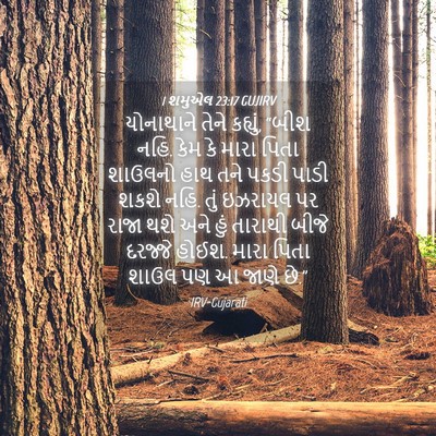 Picture 04 - 1 શમુએલ 23:17 GUJIRV - યોનાથાને તેને - Bible Verse Picture