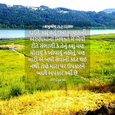 Picture 04 - 1 શમુએલ 25:21 GUJIRV - દાઉદે કહ્યું હતું, - Bible Verse Picture