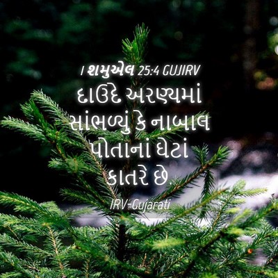 Picture 04 - 1 શમુએલ 25:4 GUJIRV - દાઉદે અરણ્યમાં - Bible Verse Picture