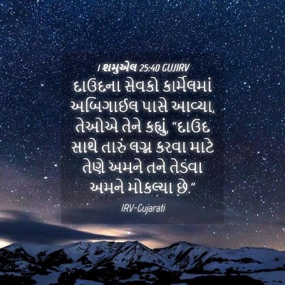 Picture 04 - 1 શમુએલ 25:40 GUJIRV - દાઉદના સેવકો - Bible Verse Picture