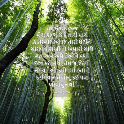 Picture 04 - 1 શમુએલ 25:7 GUJIRV - મેં સાંભળ્યું છે - Bible Verse Picture