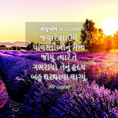 Picture 04 - 1 શમુએલ 28:5 GUJIRV - જયારે શાઉલે - Bible Verse Picture