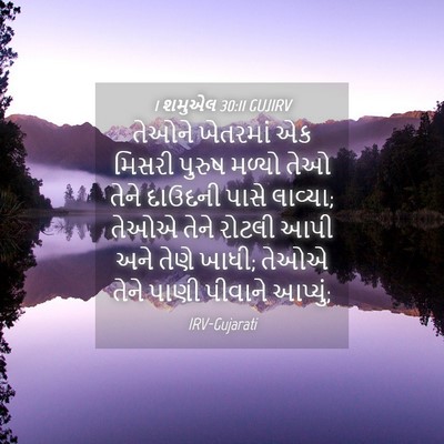Picture 04 - 1 શમુએલ 30:11 GUJIRV - તેઓને ખેતરમાં એક - Bible Verse Picture