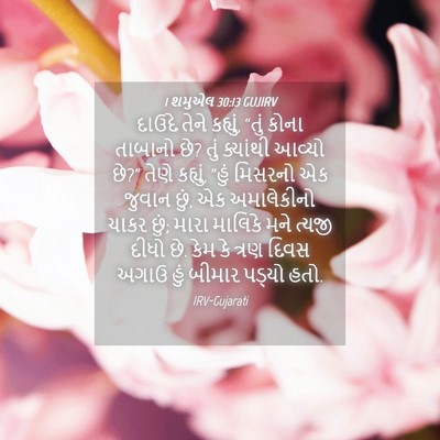 Picture 04 - 1 શમુએલ 30:13 GUJIRV - દાઉદે તેને કહ્યું, - Bible Verse Picture