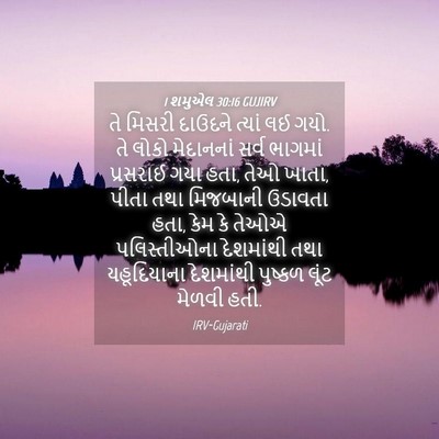 Picture 04 - 1 શમુએલ 30:16 GUJIRV - તે મિસરી દાઉદને - Bible Verse Picture