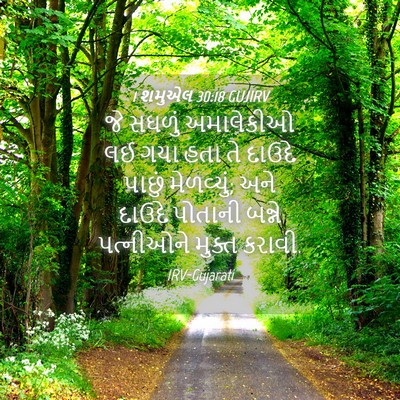 Picture 04 - 1 શમુએલ 30:18 GUJIRV - જે સઘળું અમાલેકીઓ - Bible Verse Picture