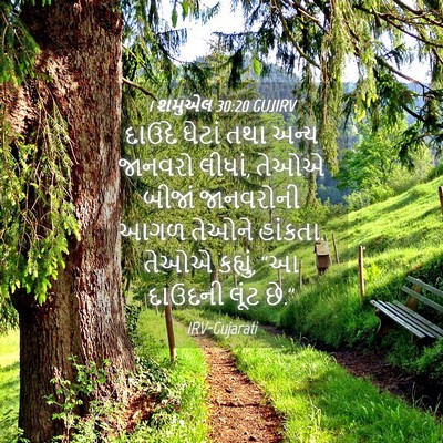 Picture 04 - 1 શમુએલ 30:20 GUJIRV - દાઉદે ઘેટાં તથા - Bible Verse Picture