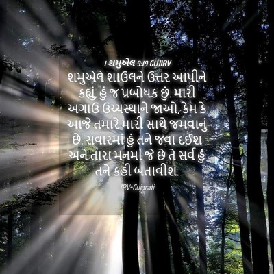 Picture 04 - 1 શમુએલ 9:19 GUJIRV - શમુએલે શાઉલને - Bible Verse Picture