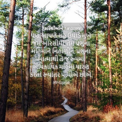 Picture 04 - 2 કરિંથીઓને 3:18 GUJIRV - પણ આપણે સહુ ઉઘાડે - Bible Verse Picture