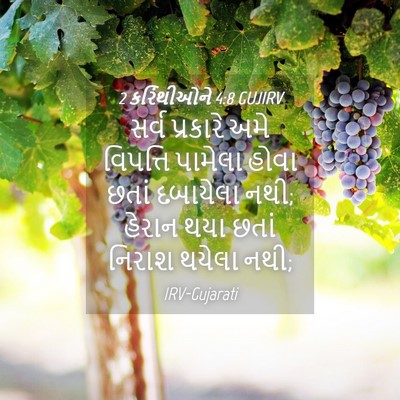 Picture 04 - 2 કરિંથીઓને 4:8 GUJIRV - સર્વ પ્રકારે અમે - Bible Verse Picture