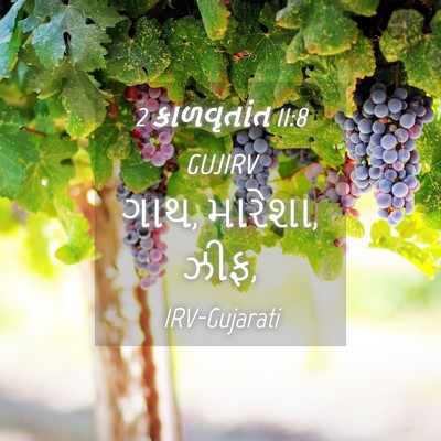 Picture 04 - 2 કાળવૃતાંત 11:8 GUJIRV - ગાથ, મારેશા, - Bible Verse Picture