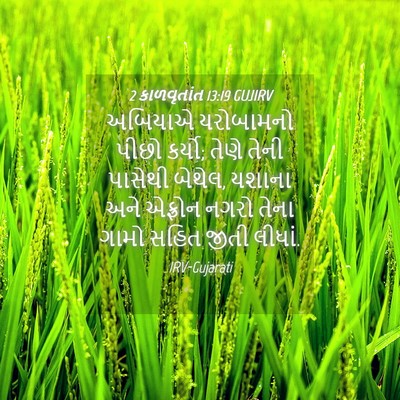 Picture 04 - 2 કાળવૃતાંત 13:19 GUJIRV - અબિયાએ યરોબામનો - Bible Verse Picture