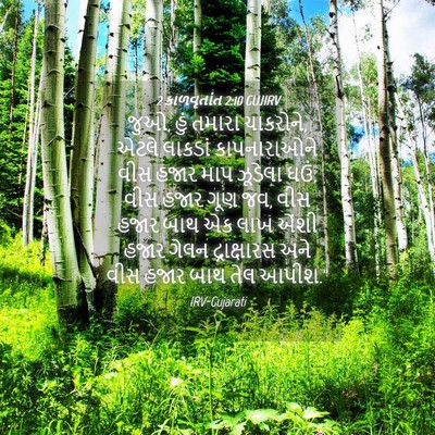 Picture 04 - 2 કાળવૃતાંત 2:10 GUJIRV - જુઓ, હું તમારા - Bible Verse Picture