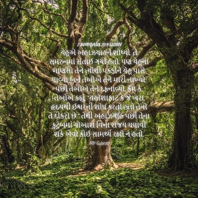 Picture 04 - 2 કાળવૃતાંત 22:9 GUJIRV - યેહૂએ અહાઝયાહને - Bible Verse Picture