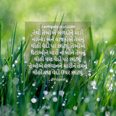 Picture 04 - 2 કાળવૃતાંત 29:22 GUJIRV - તેથી તેઓએ બળદોને - Bible Verse Picture