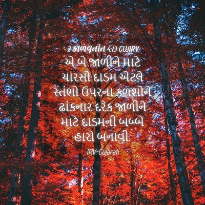 Picture 04 - 2 કાળવૃતાંત 4:13 GUJIRV - એ બે જાળીને માટે - Bible Verse Picture