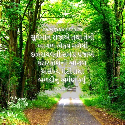 Picture 04 - 2 કાળવૃતાંત 5:6 GUJIRV - સુલેમાન રાજાએ તથા - Bible Verse Picture
