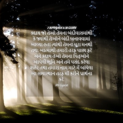 Picture 04 - 2 કાળવૃતાંત 6:38 GUJIRV - કદાચ જો તેઓ તેમના - Bible Verse Picture