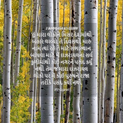 Picture 04 - 2 કાળવૃતાંત 6:5 GUJIRV - ‘હું મારા લોકોને - Bible Verse Picture