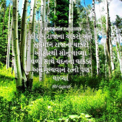 Picture 04 - 2 કાળવૃતાંત 9:10 GUJIRV - હીરામ રાજાના - Bible Verse Picture