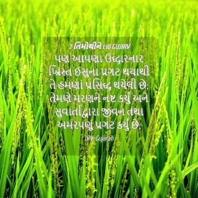 Picture 04 - 2 તિમોથીને 1:10 GUJIRV - પણ આપણા ઉદ્ધારનાર - Bible Verse Picture