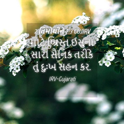 Picture 04 - 2 તિમોથીને 2:3 GUJIRV - માટે ખ્રિસ્ત - Bible Verse Picture